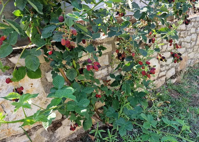 Dream Village - Traditional Meals Appartement Perondi